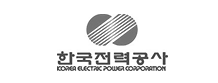 partner korea elec